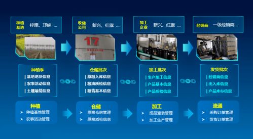科技賦能，守護“天府糧倉”——川糧集團以全產(chǎn)業(yè)鏈云碼溯源引領(lǐng)糧油質(zhì)量安全新標桿